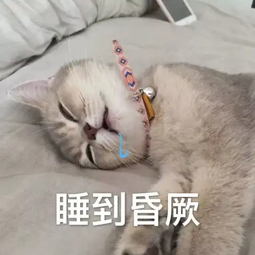  你老公今晚在家吗