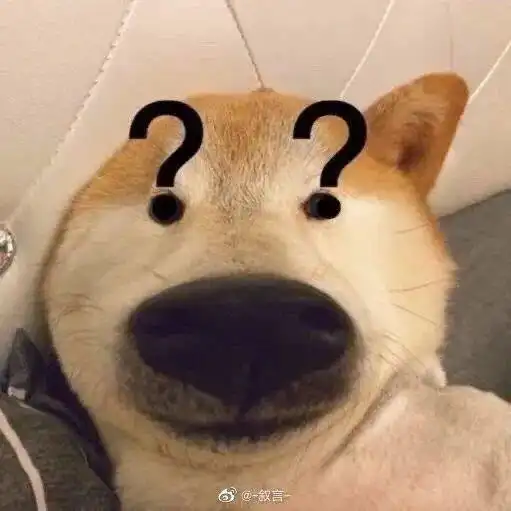  傻狗,人类永远的快乐源泉