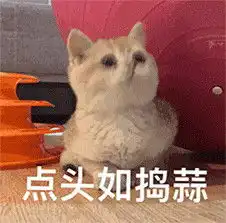  值得你收藏沙雕的表情包