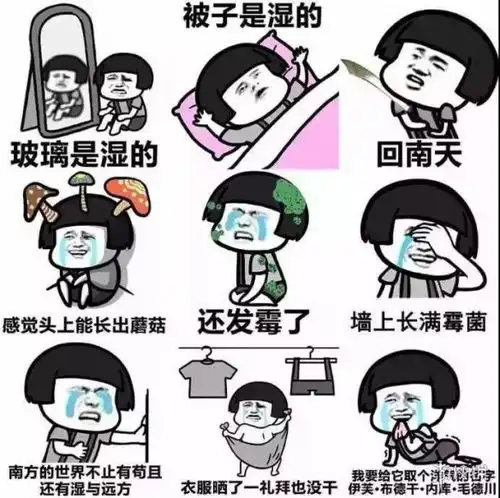 360全家桶表情包春运