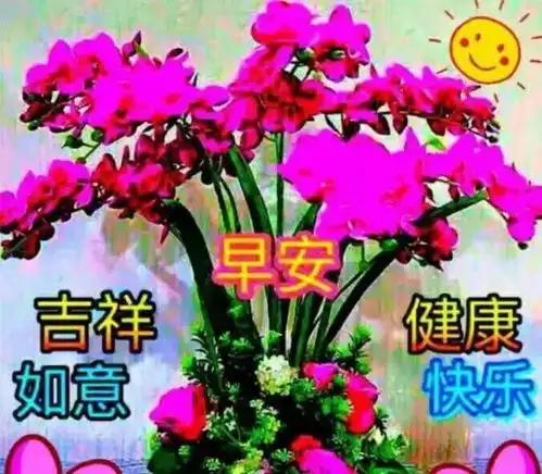  微信阳光早上好问候表情图片大全新版暖心早上好鲜花图片大全