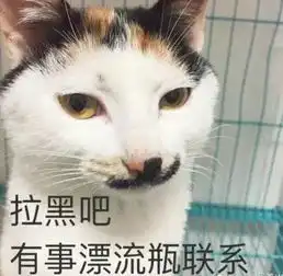 担心表情包猫咪拉黑