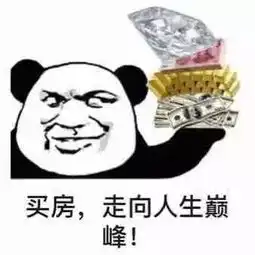土豪表情包炫富