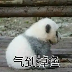  求书搞笑的书笑出猪叫那种