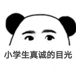 熊猫放屁爱心表情包文案