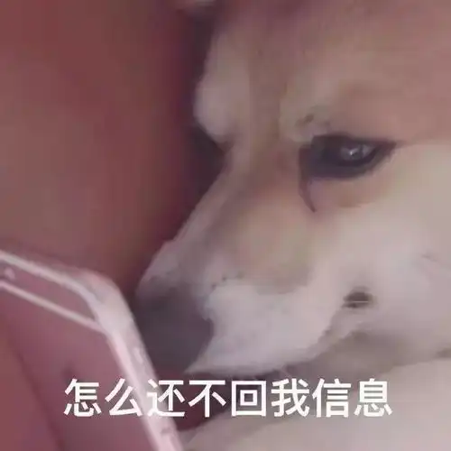  拿到了毕业证,要不要申请学位