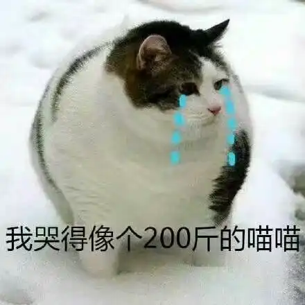  那些年我听过的be广播剧