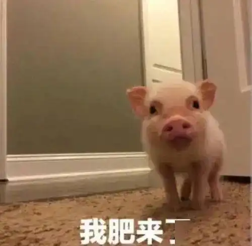  银行开户的正确姿势