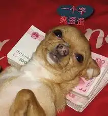  本店周末组织去王仙谷登山