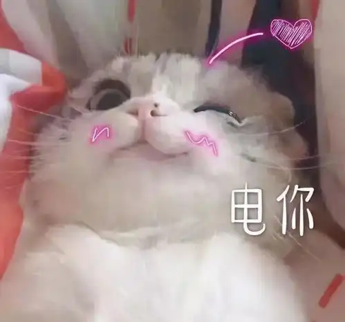 猫如何看待主人装死这回事配合你演出的我视而不见