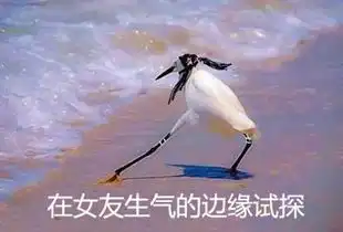 上帝造人表情包空白图试
