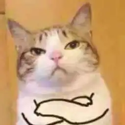 顽皮表情包猫咪