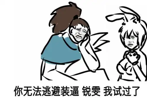  北方剑豪表情包