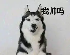  ios系统能不能制作图片,跟这个图片一样,可以自定义文字的