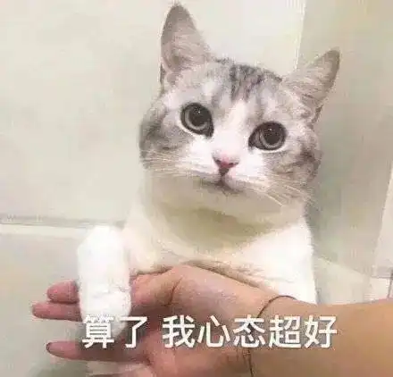  第67期喵表情此猫拉屎中,勿看勿进