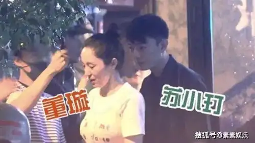 父亲的身影表情包董璇