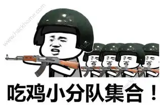  战斗岛大逃杀怎么组队组队方法介绍