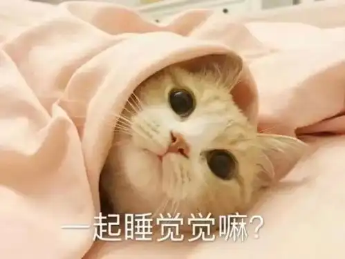  猫狗经济接近3000亿单身成饲养主力军,一年要花这个数