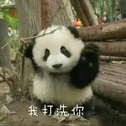 生气熊猫表情包动图摆摊