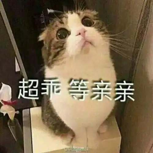  跟人撒娇专用表情包大全,收藏吧终有一天你用得着,哈哈