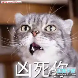  我凶死你猫咪表情包下载我叫起来超凶的表情包下载飞翔下载