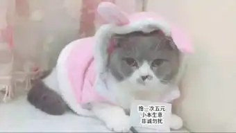  斗图表情包发表情表情包大全微信表情包qq表情包fabiaoqing.com