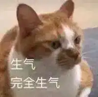  超级沙雕的猫子狗子表情包,爱了