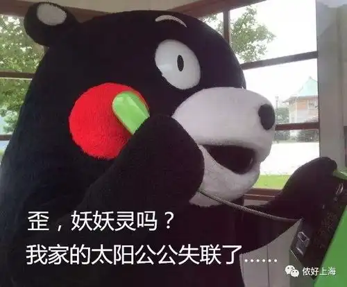 赛丽亚快还钱表情包催人