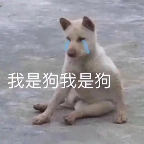  学生提前用完生活费是种怎样的体验