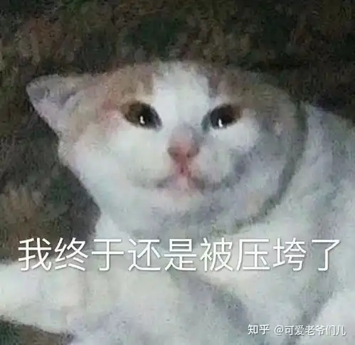  模拟人生十代挑战