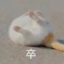 豚鼠特工队表情包末期