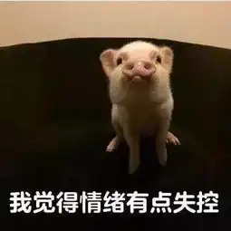 野人图片表情包ok