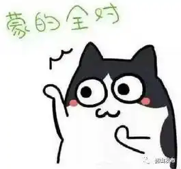  高考直击2774鹤山学子奔赴考场马上来围观